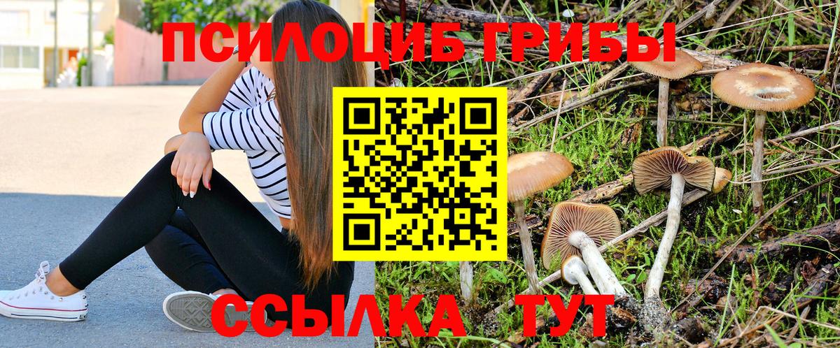 сколько стоит  Галлюциногенные грибы MAGIC MUSHROOMS  Улан-Удэ  Псилоцибиновые грибы Psilocybe 