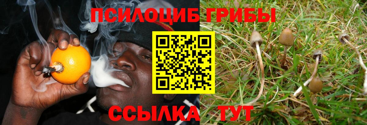 Галлюциногенные грибы Magic Shrooms Улан-Удэ